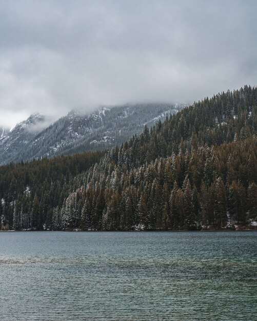 Vertical shot of a river in the middle of a mountainous scenery covered in fog