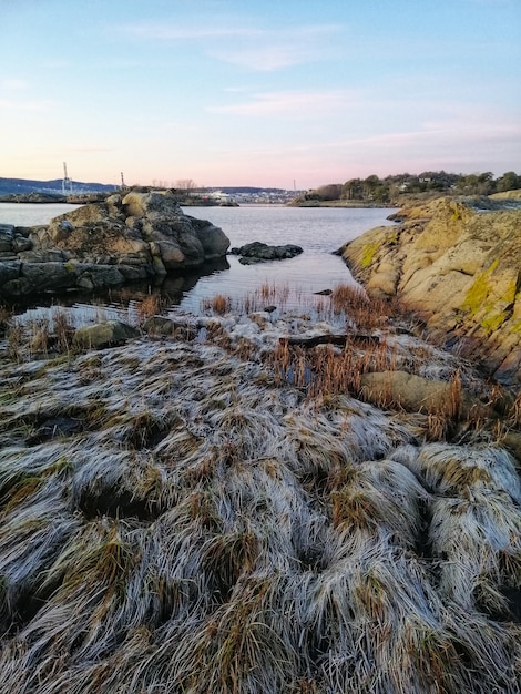 ノルウェーのオストレハルセンのユニークな風景に囲まれた川の垂直方向のショット