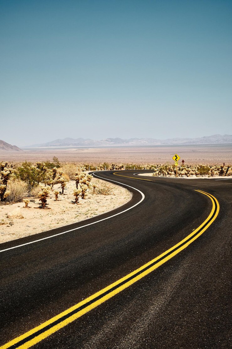 Free Photo vertical shot of a road in joshua tree national park, california usa