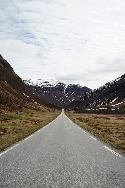 Vertical shot of a road leading to beautiful snowy mountains