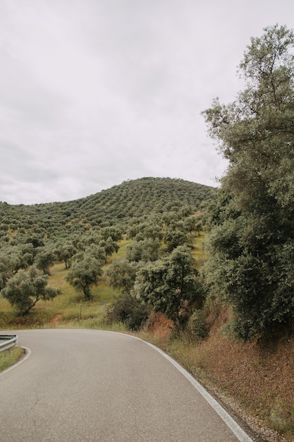 Vertical shot of a road surrounded by high grassy mountains and trees