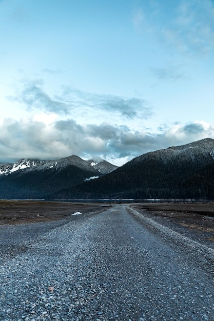 Free photo vertical shot of a road with cloudy sky in the background