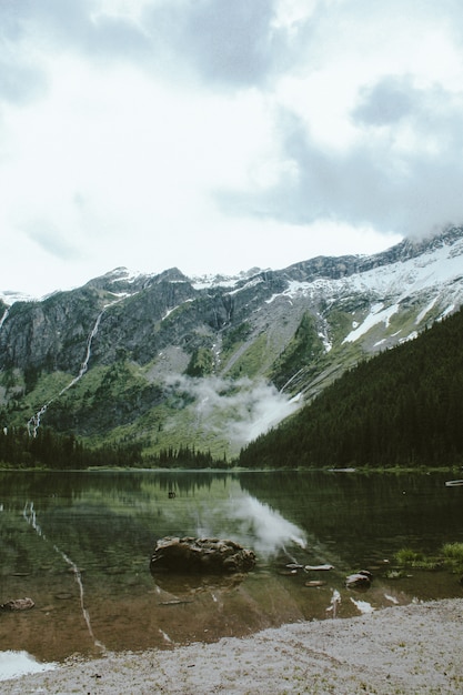 Vertical shot of a rock in Avalanche Lake, with a forested mountain