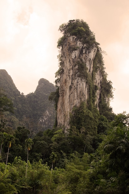 Free photo vertical shot of a rock formation in the forest in the kao sok national park, thailand