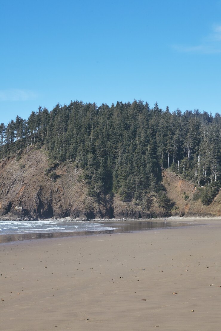 मुफ़्त फोटो vertical shot of a rock formation at the ocean shore near cannon beach, oregon, usa