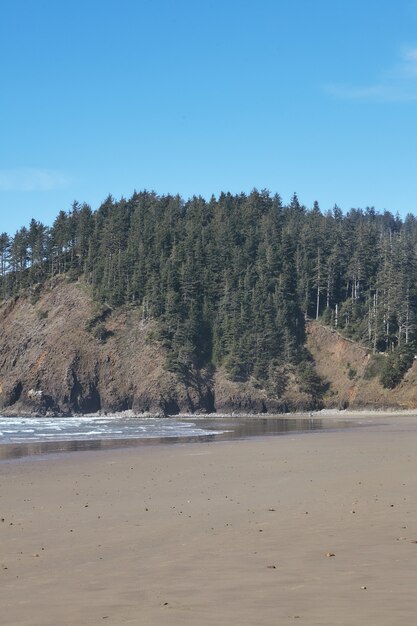 Vertical shot of a rock formation at the ocean shore near Cannon Beach, Oregon, USA