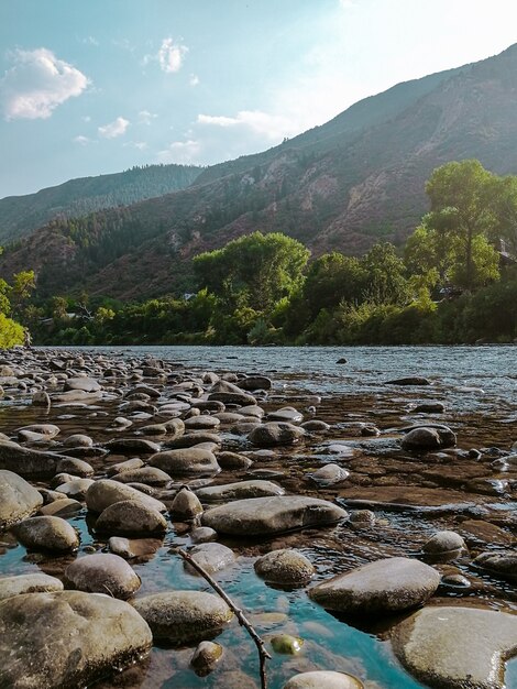 Vertical shot of rocks in the water with a forested mountain