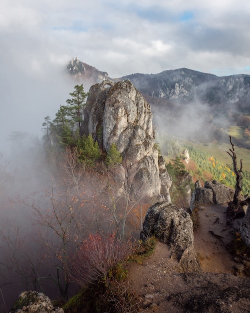 Explore the Enchanting Vertical Shot of Rocky Cliffs Embraced by Trees on a Foggy Day