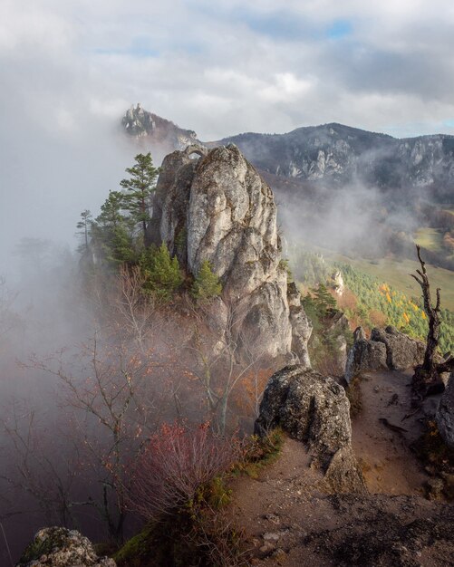 Vertical shot of the rocky cliffs surrounded with trees captured on a foggy day