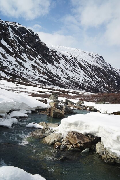 Vertical shot of a rocky lake near snowy mountains