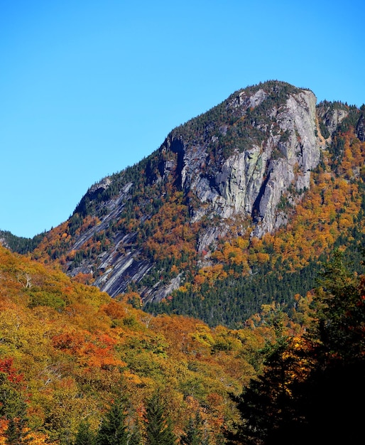 Ripresa verticale della montagna rocciosa circondata da alberi durante l'autunno