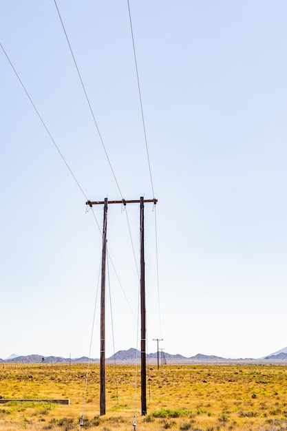 南アフリカの田園地帯にある木製の電力線ポールの列の垂直ショット