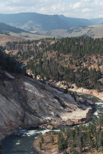 Vertical shot of scenery in Yellowstone National Park, Wyoming, USA