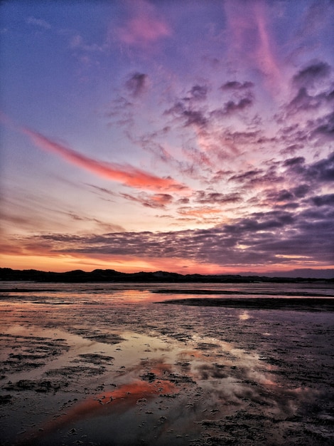 Vertical shot of the seashore under a beautiful sky