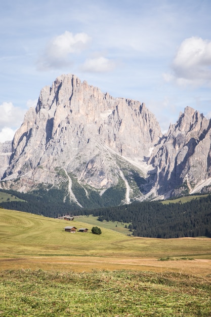 Seiser Alm의 세로 샷-Compatsch 이탈리아의 넓은 목초지와 Alpe di Siusi