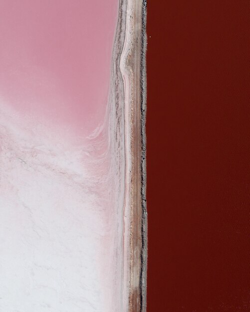 Vertical shot of shades of pink next to each other divided by a line