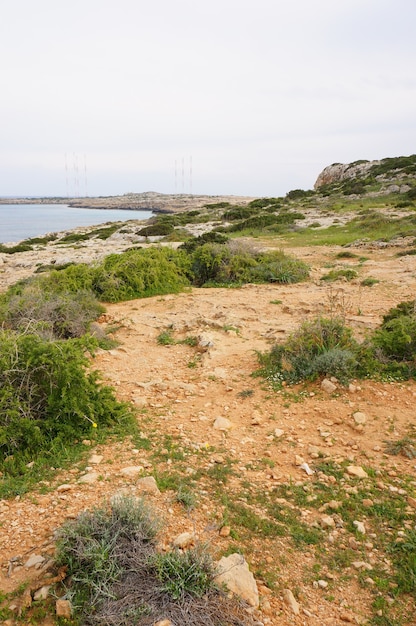 Vertical shot of the shore of the lake covered by soil and grass under the blue sky