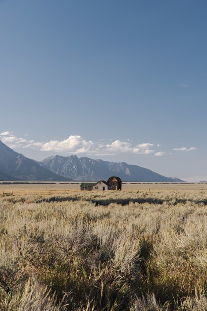 Vertical shot of a small house in the field