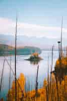 Free photo vertical shot of a small island with yellow leafed trees in the middle of the water