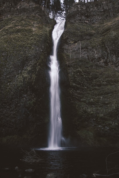 Free photo vertical shot of a small waterfall in the center of the mossy rocks