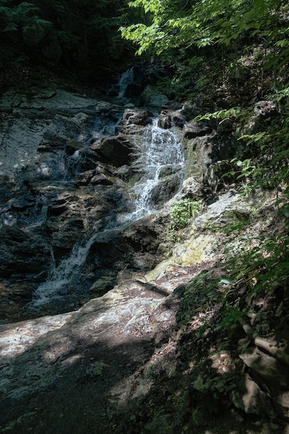 Vertical shot of a small waterfalls in the woods