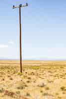 Free photo vertical shot of a small wooden electric pole in a meadow in south africa