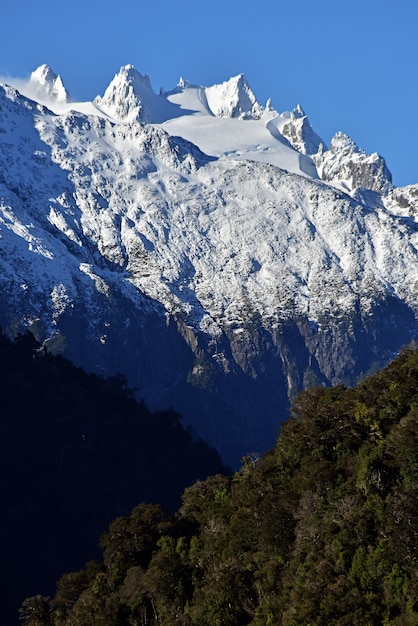 雪に覆われた山と森の垂直ショット