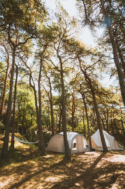 ポルトガルのマデイラで撮影された森の真ん中にあるいくつかのテントの垂直ショット