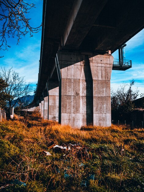 Vertical shot of a stone bridge and a field of green and yellow grass under it