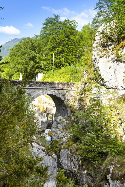 フランス、アンの樹木に囲まれた川に架かる石の橋の垂直ショット