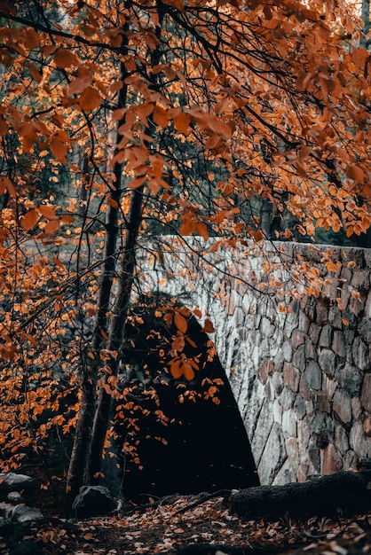 Vertical shot of a stone bridge and a tree with orange leaves in autumn
