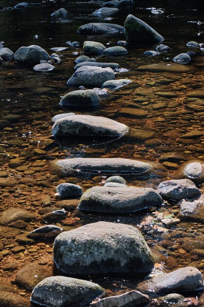 Vertical shot of the stone in the middle of a stream of water