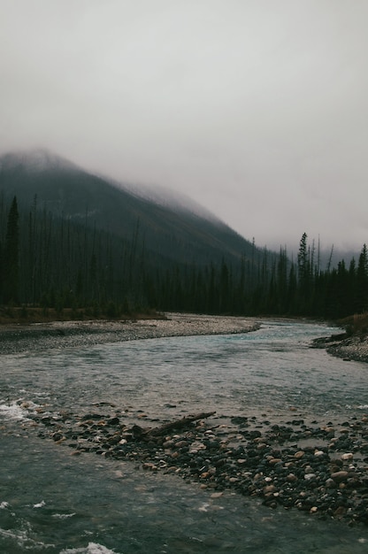 Vertical shot of the stones in the river under the mountains covered with fog