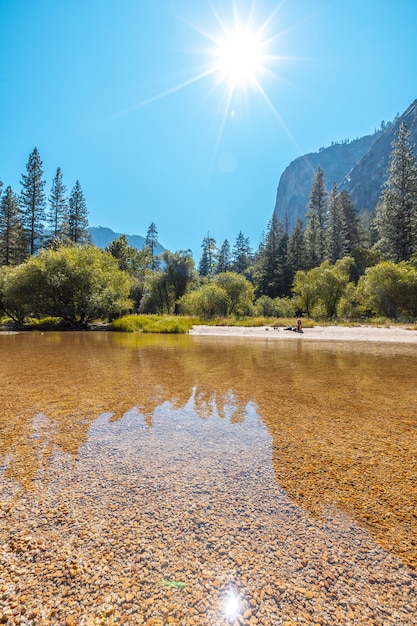 Vertical shot of the sun shining over the water and trees of the yosemite national park