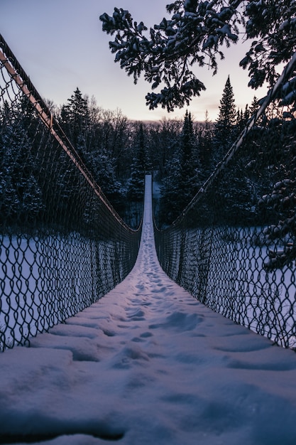 Vertical shot of a suspension bridge heading to the beautiful fir tree forest covered with snow