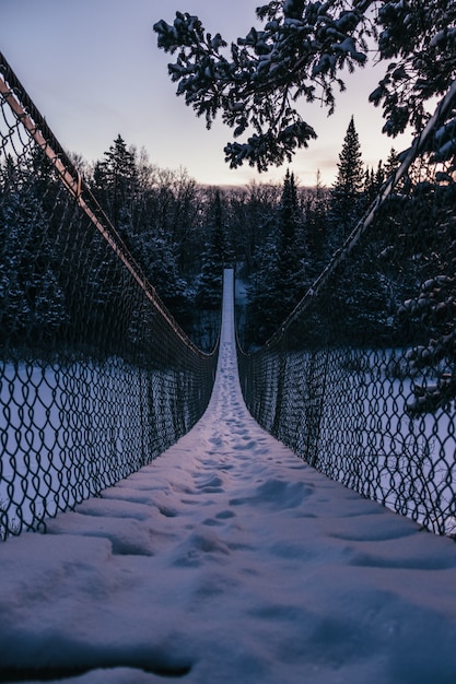 Вертикальный снимок подвесного моста, ведущего в красивый еловый лес, покрытый снегом