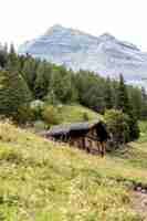 Free photo vertical shot of swiss alps