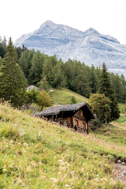 Вертикальный снимок швейцарских Альп
