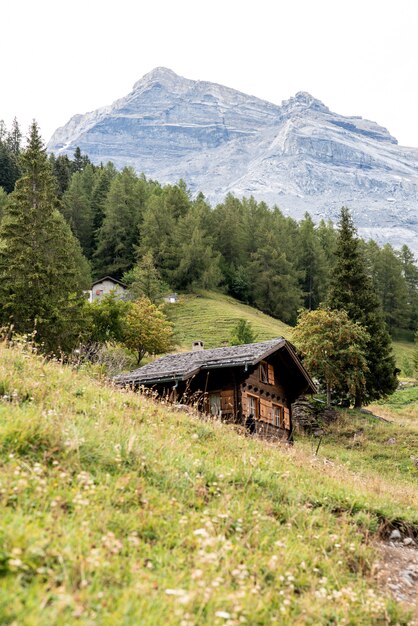 Vertical shot of Swiss Alps