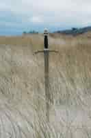 Free photo vertical shot of a sword in the sandy beach