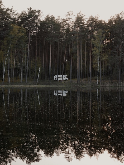 Free photo vertical shot of tall trees reflection on the lake in the park