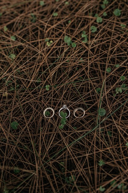 Vertical shot of three rings put on a surface of  small narrow wooden branches