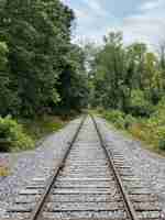 Free photo vertical shot of train rails surrounded by trees