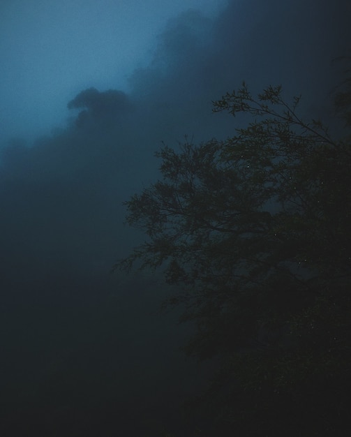 Foto gratuita colpo verticale di un albero con una nuvola scura