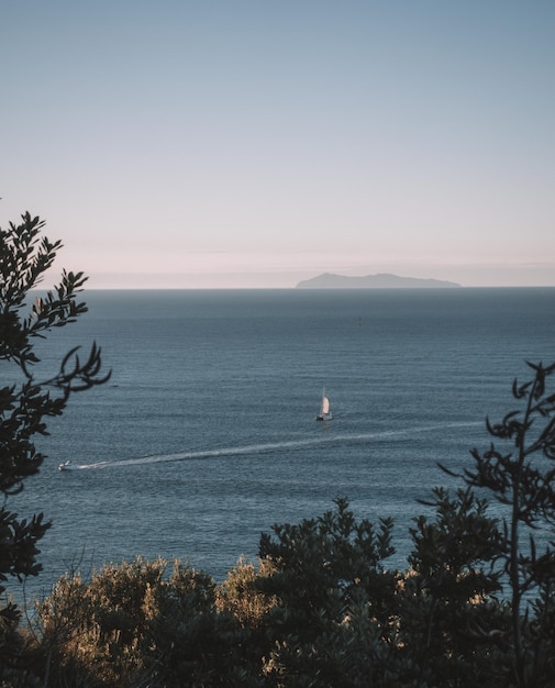 Vertical shot of trees near the sea with boats and a clear sky