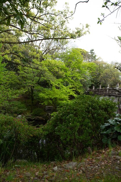 Vertical shot of trees with an old bridge under a cloudy sky