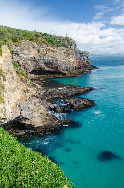 Vertical shot of the Tunnel Beach in Dunedin, New Zealand