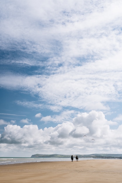 Free photo vertical shot of two people riding horses along the beach shore under a cloudy sky in france