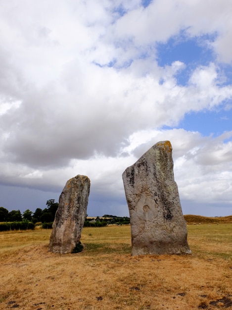 Vertical shot of two rocks standing in the middle of a field under the cloudy sky