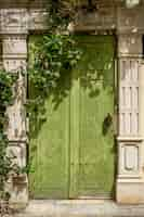 Free photo vertical shot of a unique design of a wooden green door